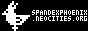 SpandexPhoenix